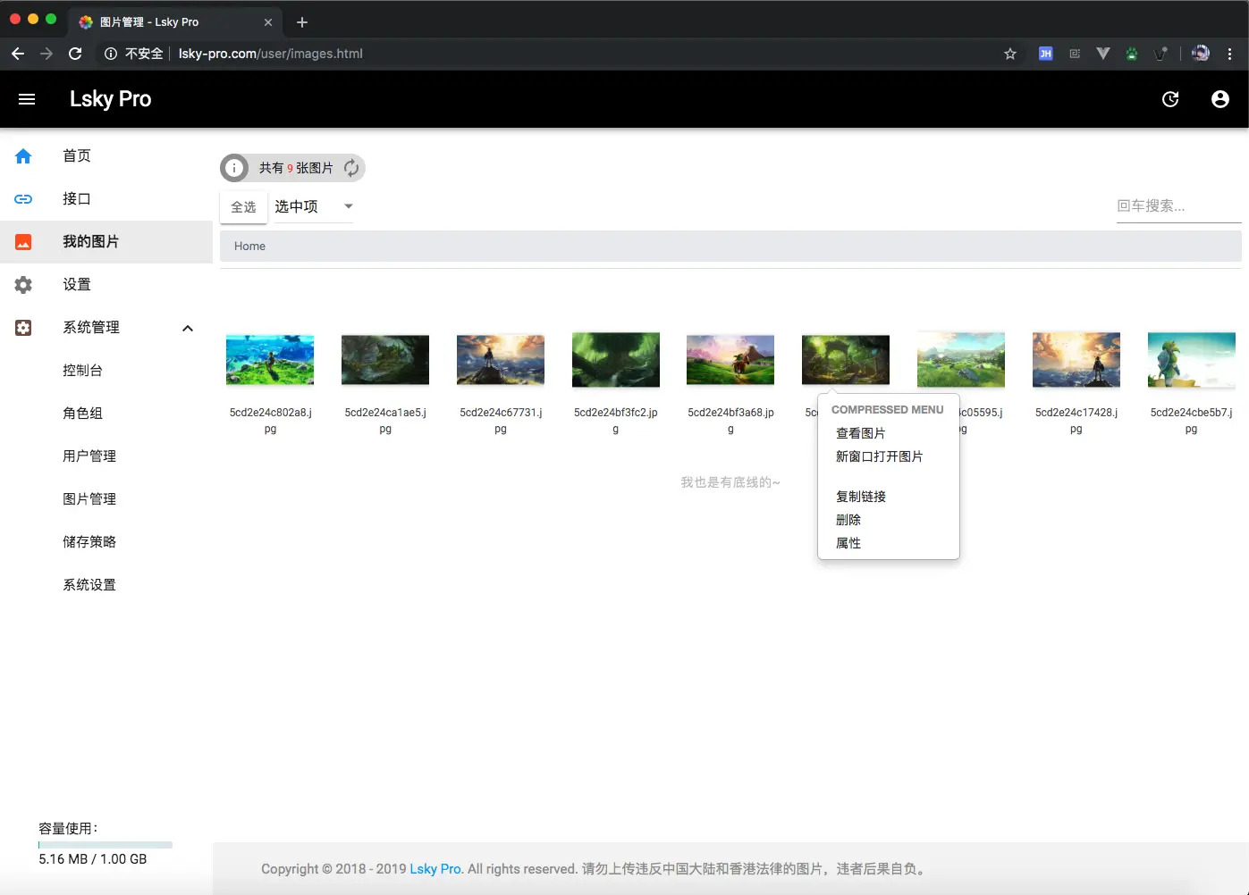 2.png 优异图床程序引荐–Lsky Pro免费开源插图(1)